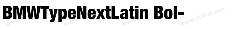BMWTypeNextLatin Bol字体转换